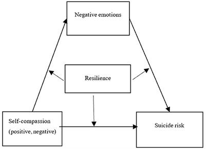 Self-compassion and suicide risk: a moderated mediation model and evidence from Chinese universities